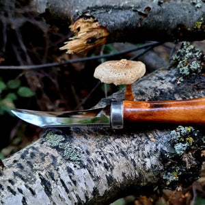 Mushroom Knife