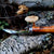 Mushroom Knife