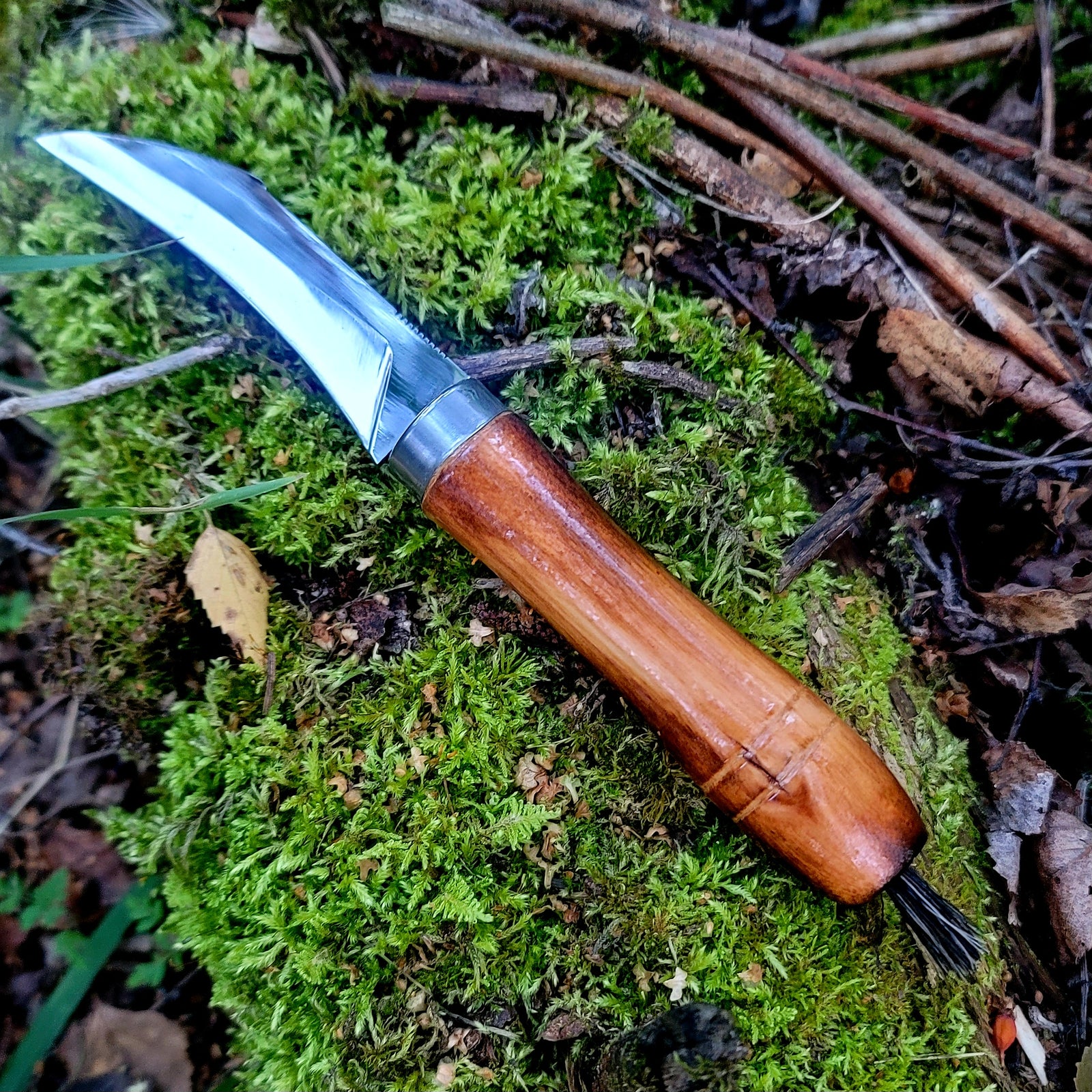 Mushroom Knife
