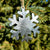 Snowflake Christmas Ornament